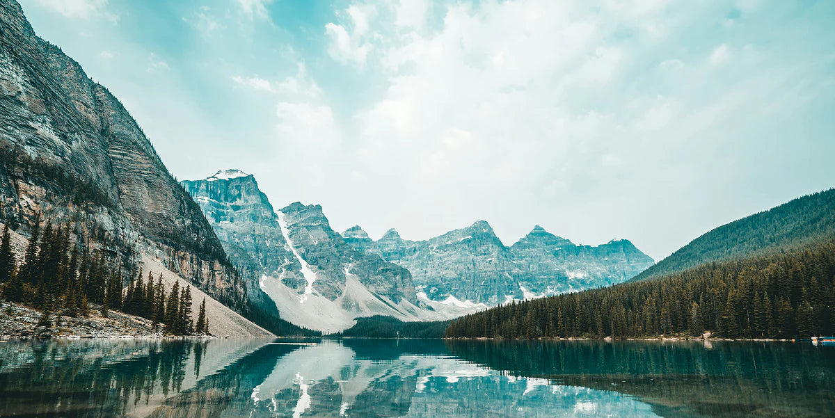 collection-banner-image