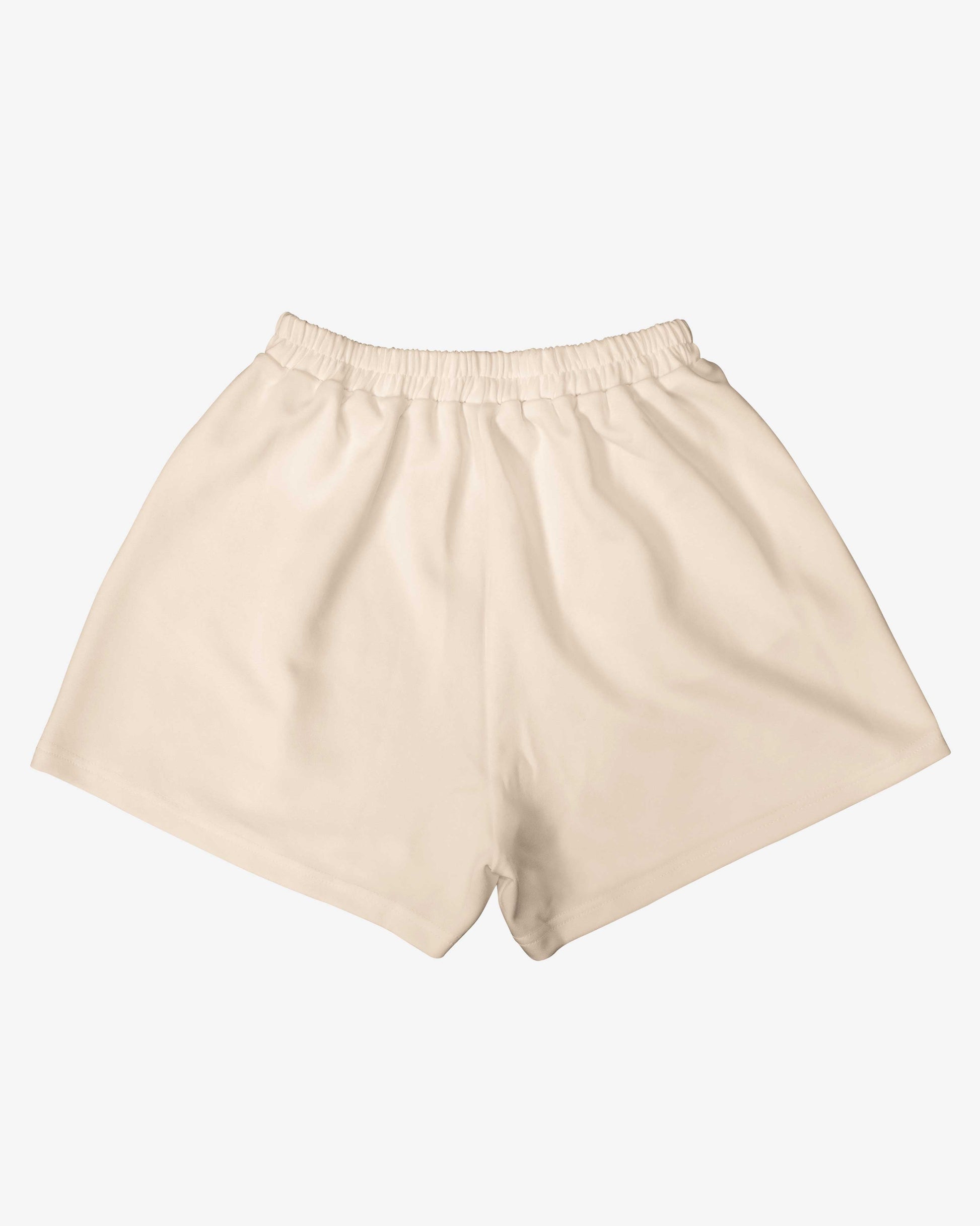 Big Bang Theory Women Casual Shorts